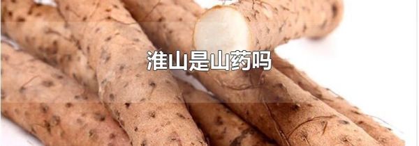 淮山是山药吗