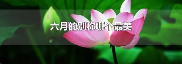 六月的别称哪个最美