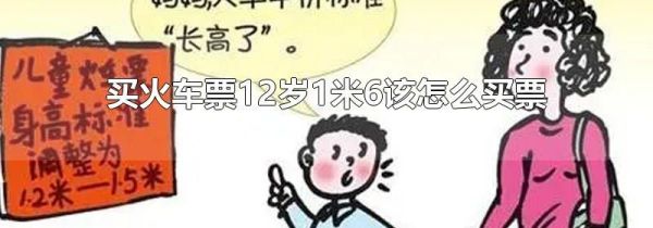 买火车票12岁1米6该怎么买票