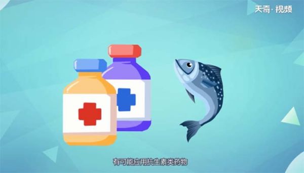 三文鱼有寄生虫吗 三文鱼是否有寄生虫