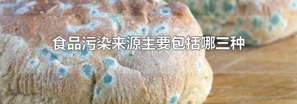 食品污染来源主要包括哪三种