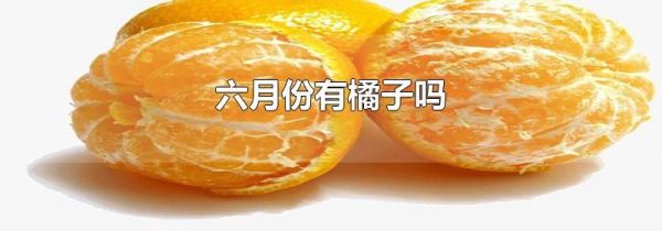 六月份有橘子吗
