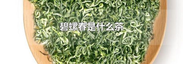 碧螺春是什么茶