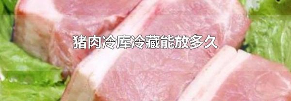猪肉冷库冷藏能放多久