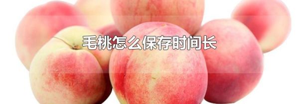 毛桃怎么保存时间长