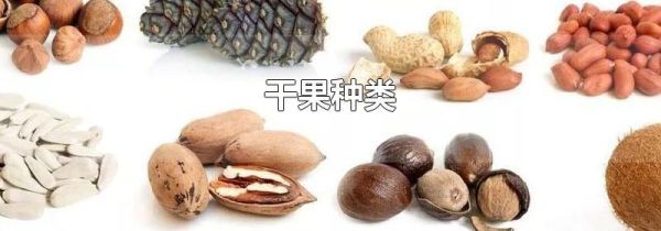 干果种类