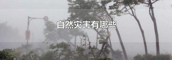 自然灾害有哪些