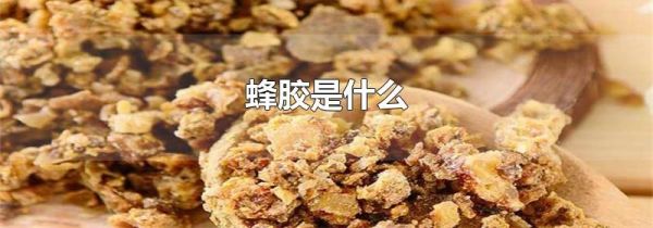 蜂胶是什么