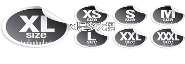 xl是多大码