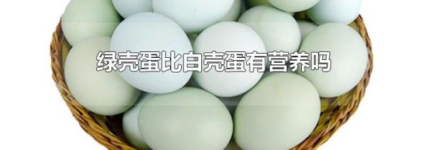 绿壳蛋比白壳蛋有营养吗