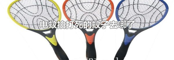 电蚊拍打死的蚊子去哪了