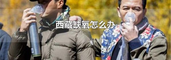 西藏缺氧怎么办