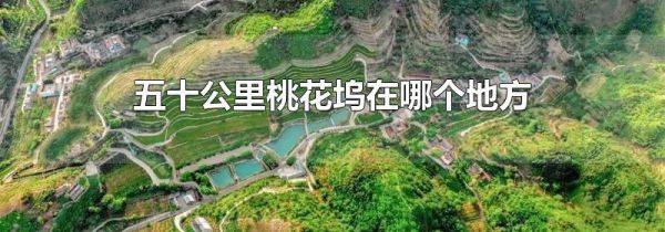 五十公里桃花坞在哪个地方