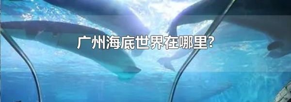 广州海底世界在哪里?