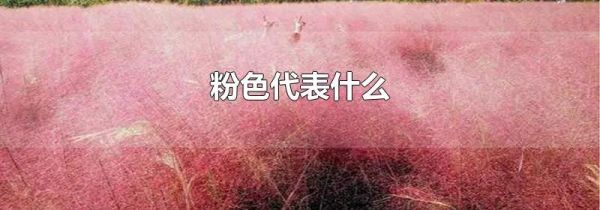 粉色代表什么