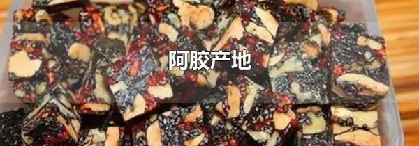 阿胶产地