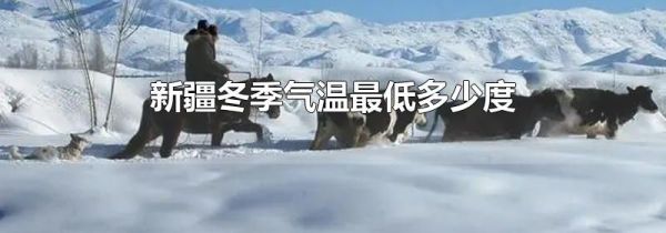 新疆冬季气温最低多少度