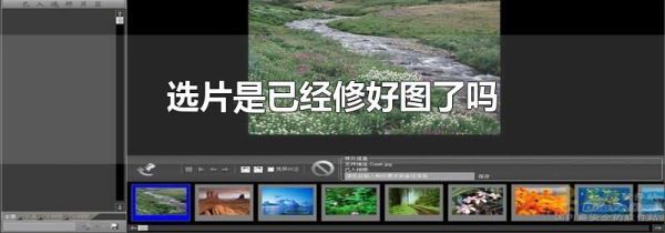 选片是已经修好图了吗