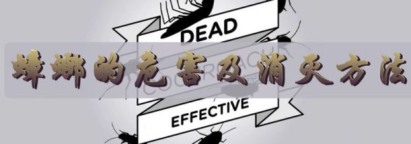 蟑螂的危害及消灭方法