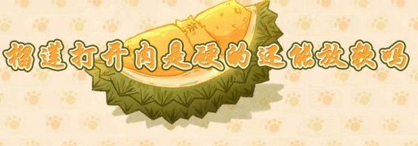 榴莲打开肉是硬的还能放软吗