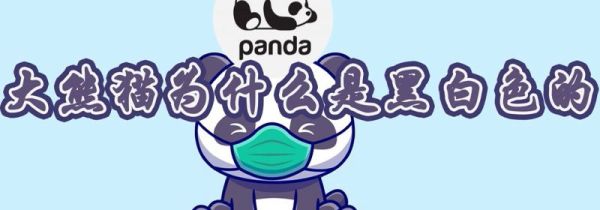 大熊猫为什么是黑白色的