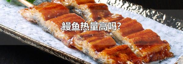 鳗鱼热量高吗?