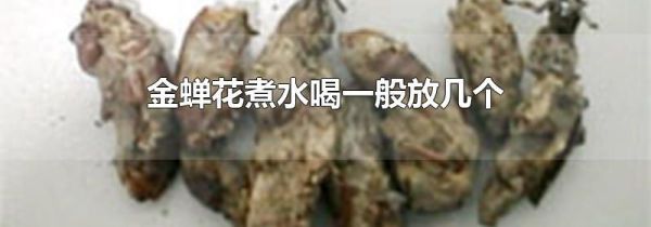 金蝉花煮水喝一般放几个