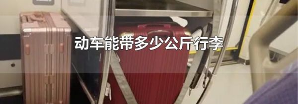 动车能带多少公斤行李