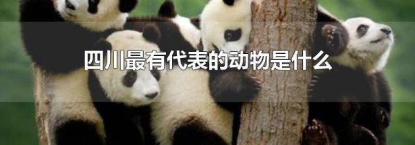 四川最有代表的动物是什么