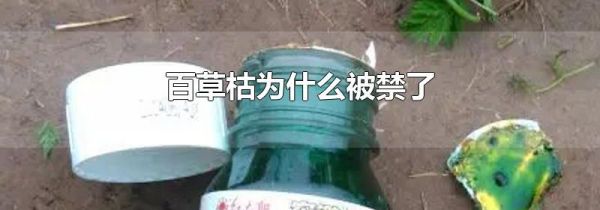 百草枯为什么被禁了