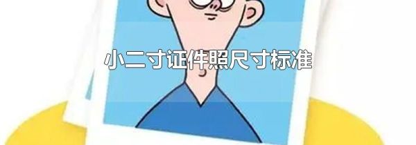 小二寸证件照尺寸标准