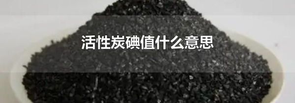 活性炭碘值什么意思