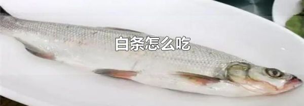 白条怎么吃