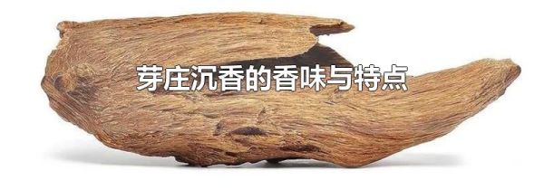 芽庄沉香的香味与特点
