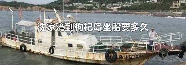 沈家湾到枸杞岛坐船要多久