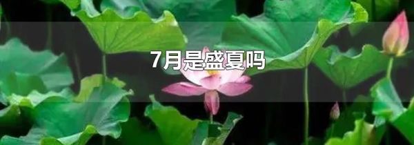 7月是盛夏吗