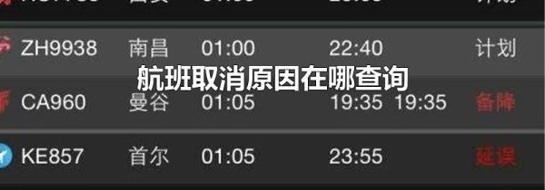 航班取消原因在哪查询