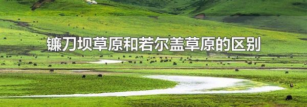 镰刀坝草原和若尔盖草原的区别