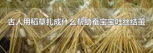 古人用稻草扎成什么帮助蚕宝宝吐丝结茧