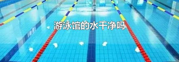 游泳馆的水干净吗