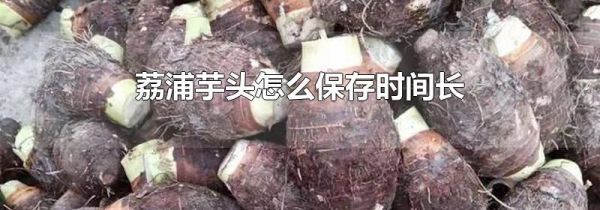 荔浦芋头怎么保存时间长