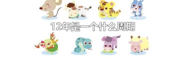 12年是一个什么周期