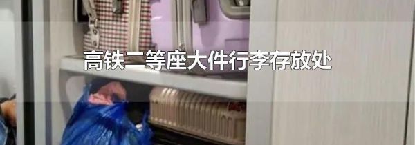 高铁二等座大件行李存放处