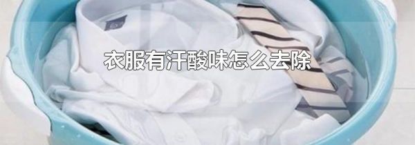 衣服有汗酸味怎么去除