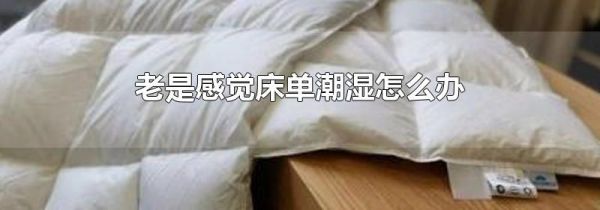 老是感觉床单潮湿怎么办