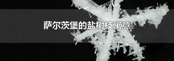 萨尔茨堡的盐树枝寓意