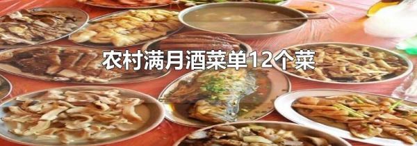 农村满月酒菜单12个菜