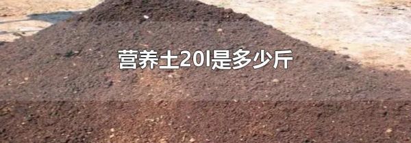 营养土20l是多少斤