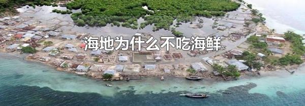 海地为什么不吃海鲜