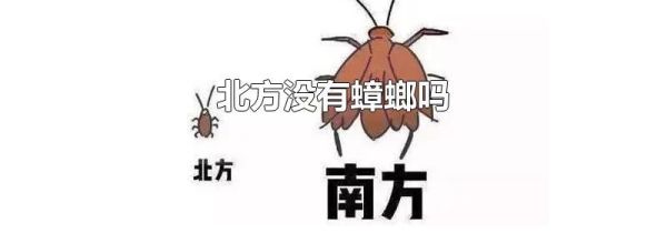 北方没有蟑螂吗